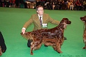 Crufts2011_2 089